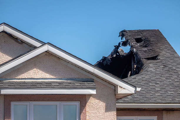 Top rated local Fire Damage Removal specialists in Pacific, WA